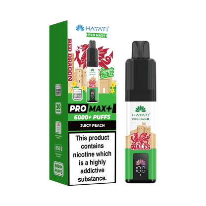 Box of 10 Hayati Pro Max+ 6K Puffs Souvenir Edition