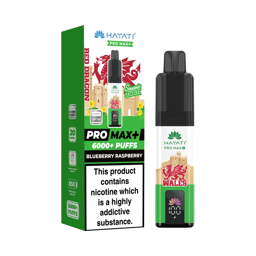Box of 10 Hayati Pro Max+ 6K Puffs Souvenir Edition