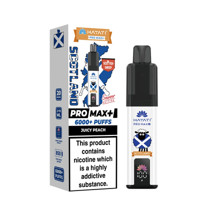 Box of 10 Hayati Pro Max+ 6K Puffs Souvenir Edition